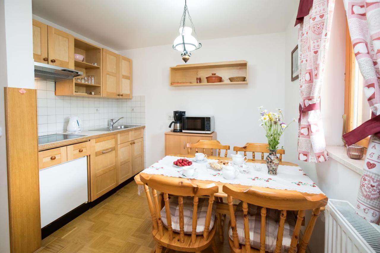 Apartmaji Katrnjek Бохінь Екстер'єр фото