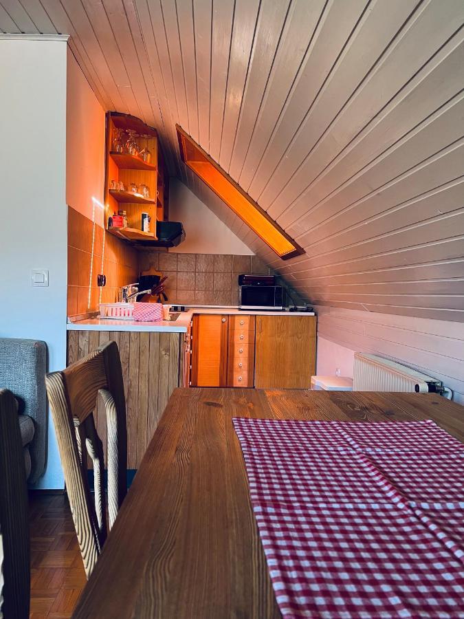 Apartmaji Katrnjek Бохінь Екстер'єр фото